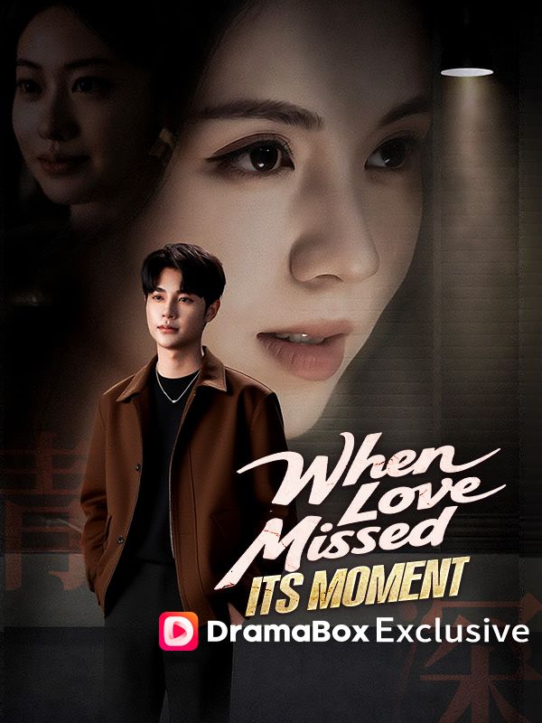 When Love Missed Its Moment poster