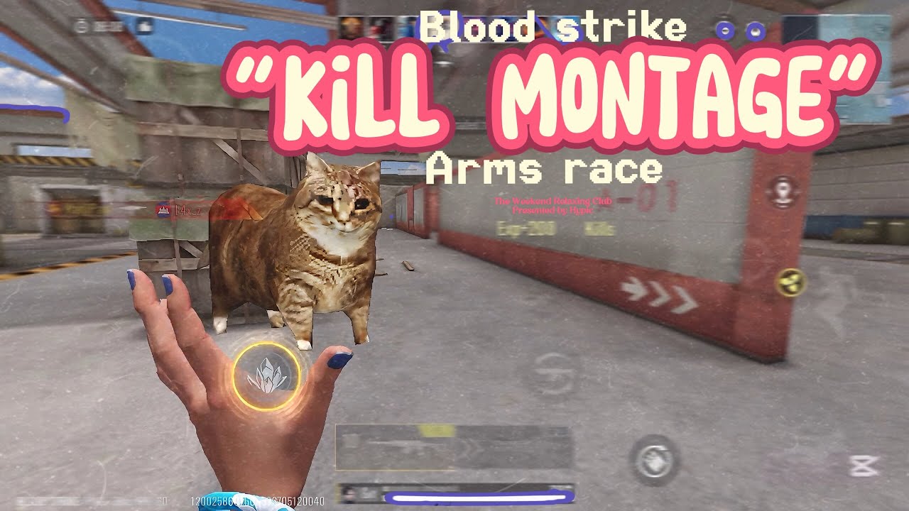 Blood Strike Kill Montage - Cat Joins the Game ๐น | Arms Race Mobile Gameplay