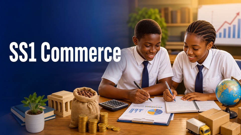 SS1 Commerce background