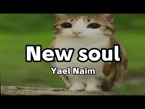 Meowl/New soul - Yael Naim/lyrics (eng/esp) background