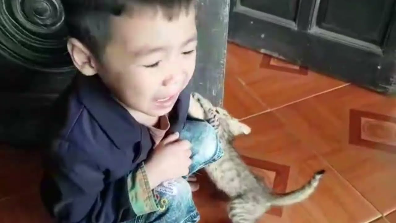 This Cat Won’t Stop Messing With The Baby 😂🐱