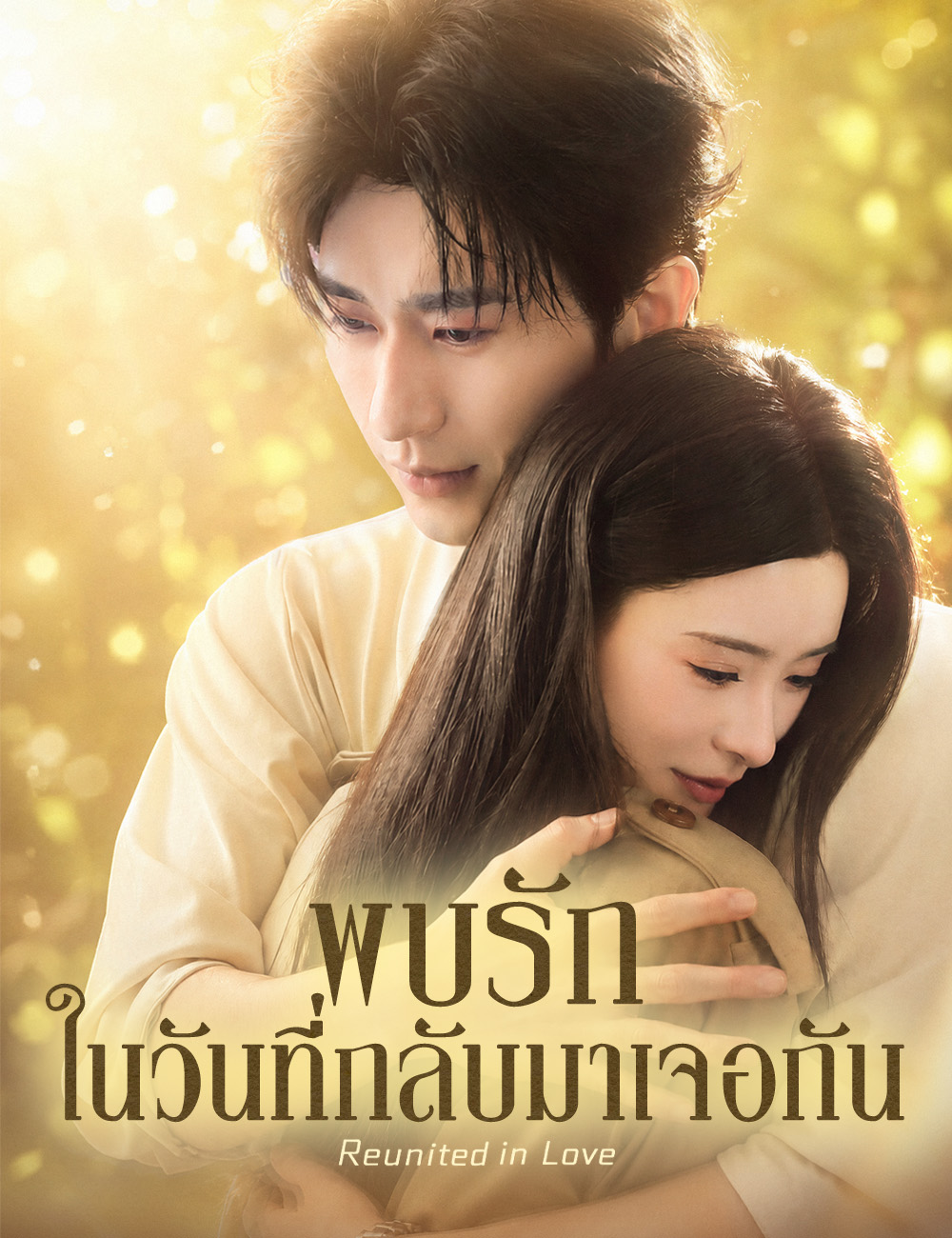 พบรักในวันที่กลับมาเจอกัน poster