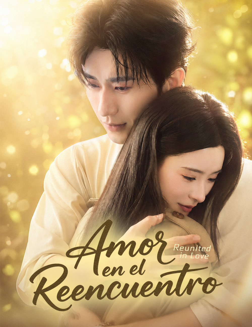 Amor en el reencuentro poster