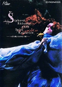 Briar-Rose or The Sleeping Beauty [English]