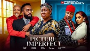 PICTURE IMPERFECT