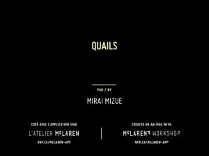 Quails [English]