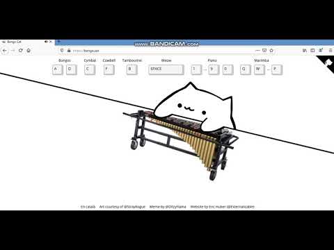 Let's play Bongo Cat :3 background