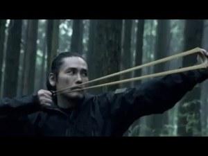 assassin revenge