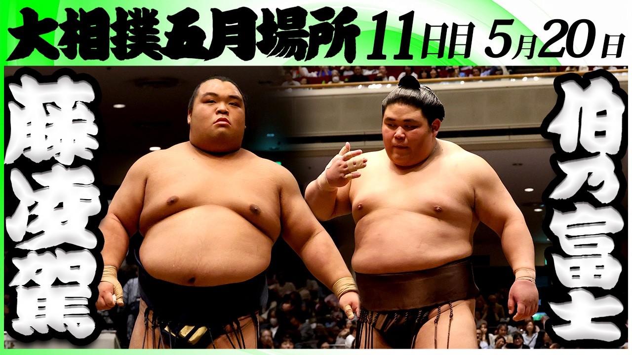大相撲 藤凌駕ー伯乃富士<令和8年五月場所・11日目>SUMO