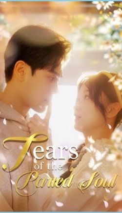Tears Of The Parted Soul [English] poster