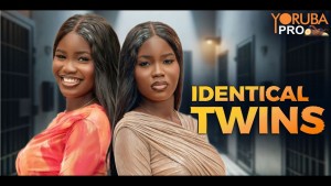 IDENTICAL TWINS