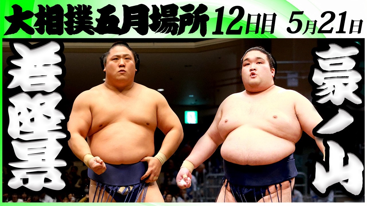 大相撲 若隆景ー豪ノ山<令和8年五月場所・12日目>SUMO background
