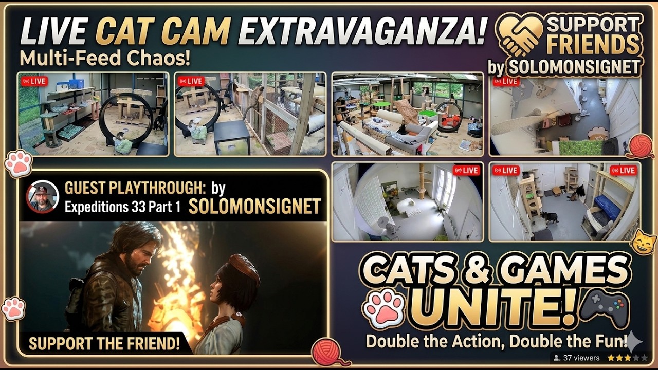 🐱 Live Cats & Games UNITE! Double the Fun - Ep 4 feat. SolomonSignet's Expeditions 33 Walkthrough