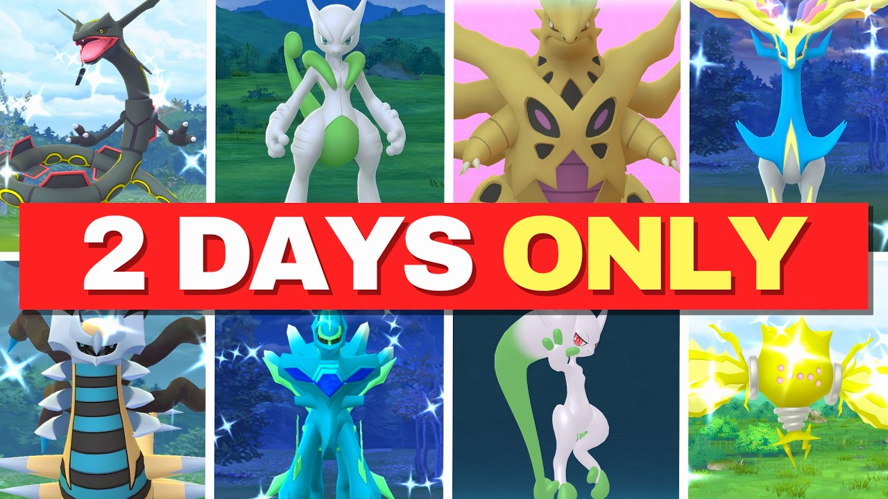 Don't Waste Your FREE GO Fest Raid Passes!