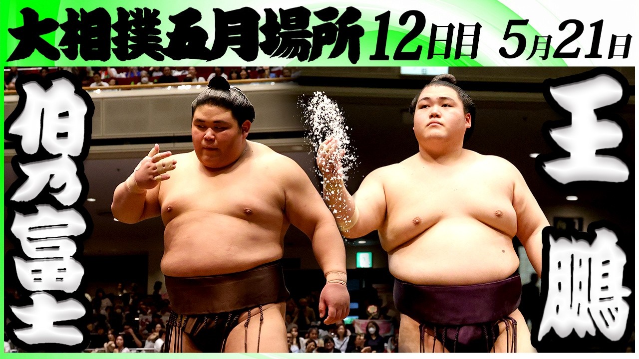 大相撲 伯乃富士ー王鵬<令和8年五月場所・12日目>SUMO background