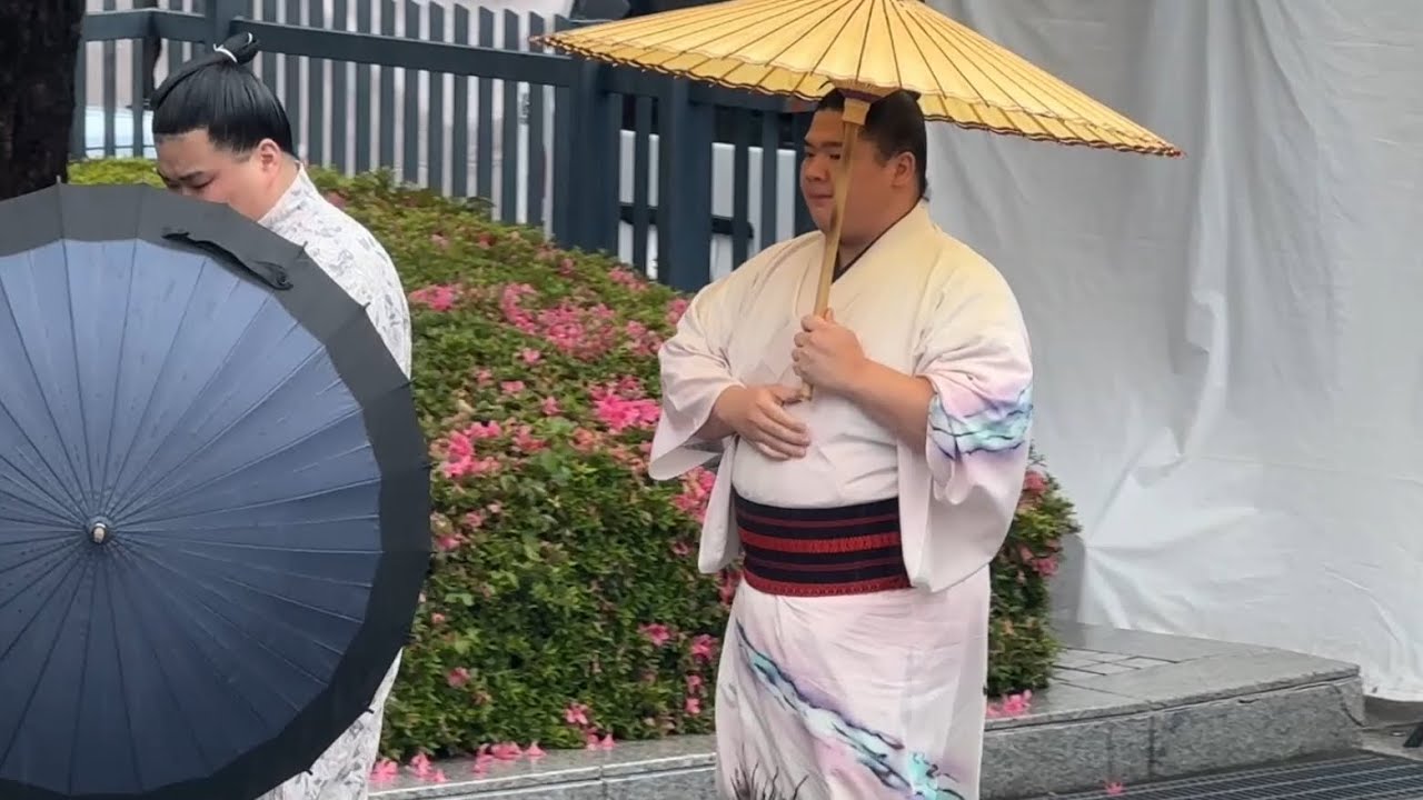 5月場所13日目入り待ち 宇良 玉鷲 一山本 正代 時疾風 錦富士 番傘姿✨☔️ 【大相撲令和8年5月場所】13日目 2026/5/22 background
