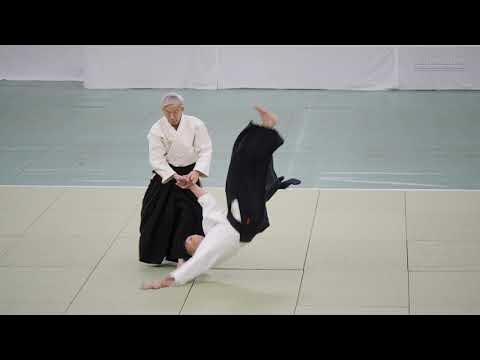 UESHIBA Moriteru Doshu - 63rd All Japan Aikido Demonstration background