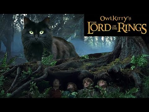 Lord of the Rings + My Cat (2019) | Watch on Movi47