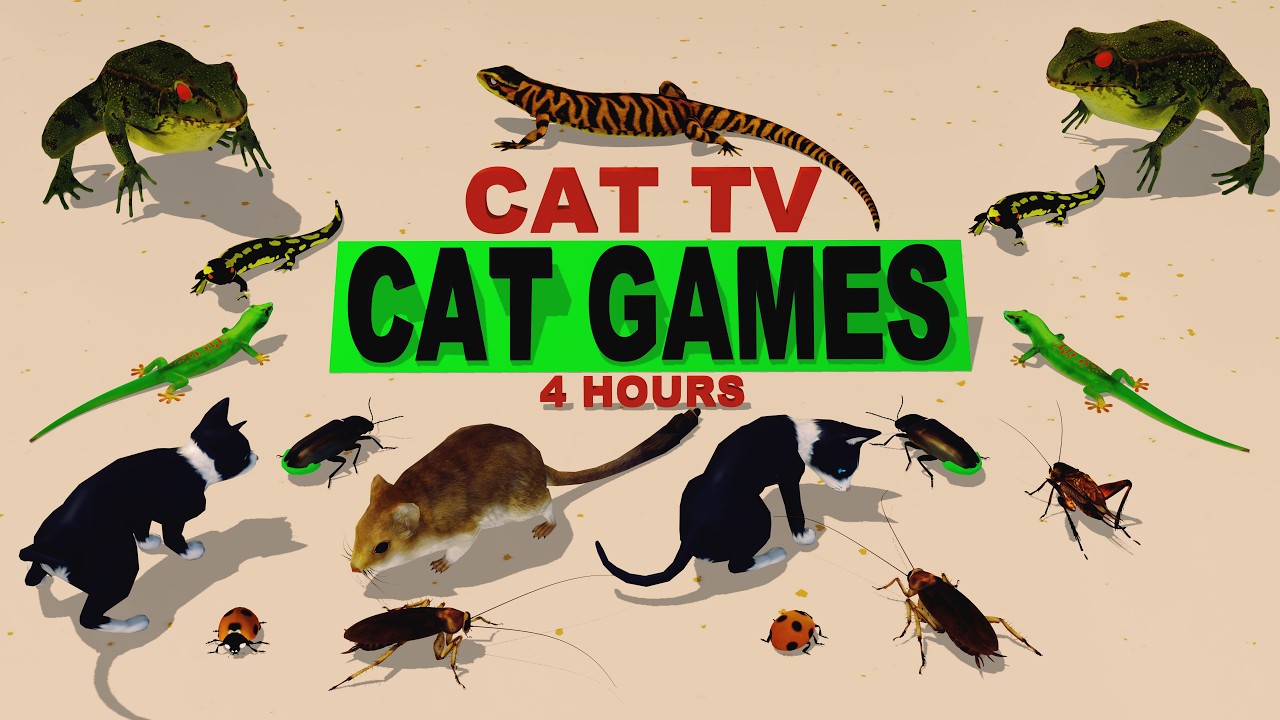Cat Games 3D : Cats Go Crazy Watching Bugs, Lizards & Mice ๐ญ 4 Hours Non-Stop CAT Games