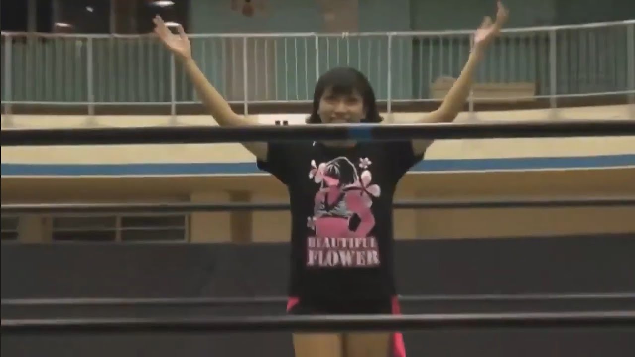 Hikaru Shida vs Hana Kimura background
