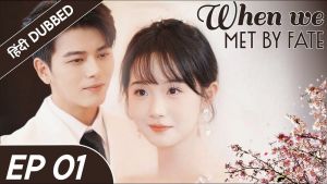 when we met by fate [Hindi]