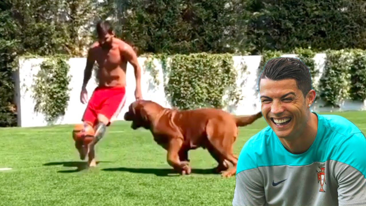 Best Soccer Football Vines 2020 - Goals, Skills, Fails