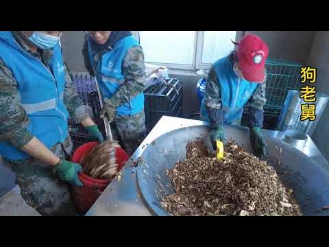 感谢家人们3000元的鸡肉,给毛孩子们增加营养,感恩一路有您 background