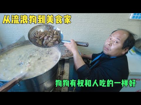 从流浪狗到美食家,中间只差一个好主人,狗狗有权和人吃的一样好 background