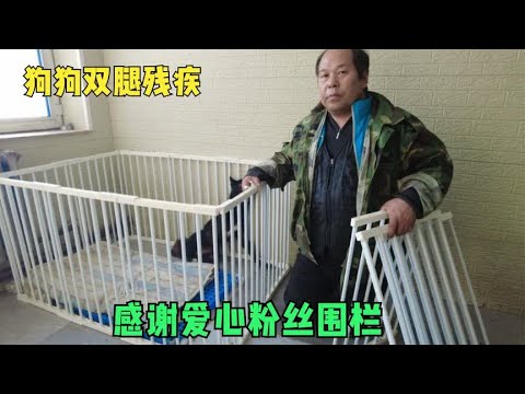 流浪狗先天双腿残疾,爱心粉丝买的围栏装上,愿狗狗平安快乐 background