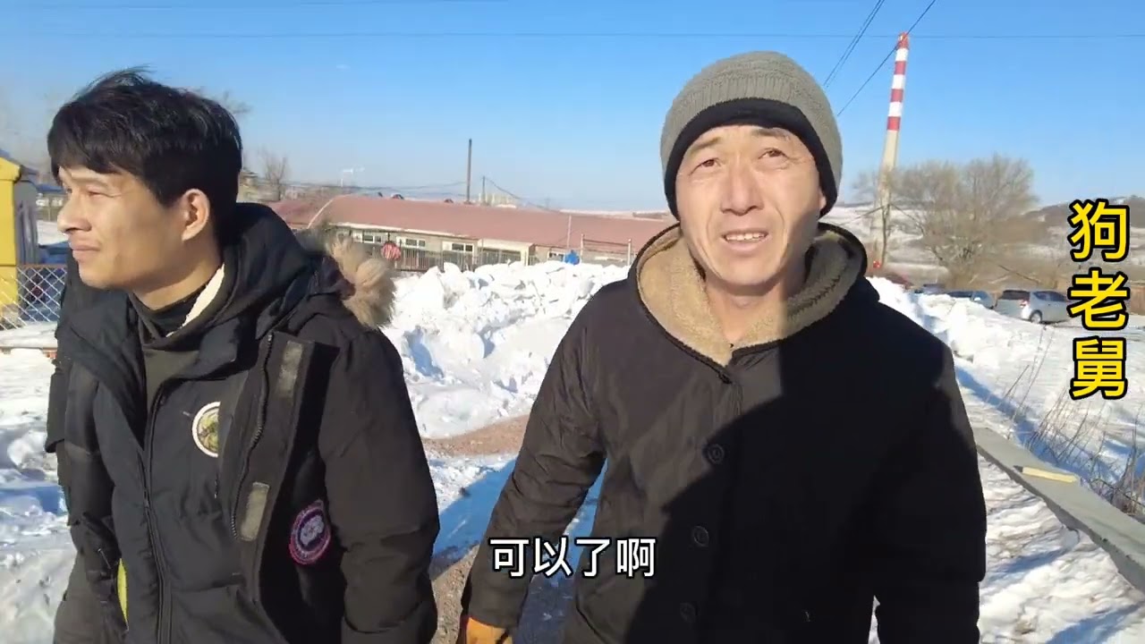 流浪狗基地二哈闯祸,咬羊被扣索赔800元,真是为它们操碎了心 background