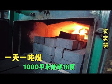 给幼猫在家驱虫其实很简单,大院取暖一天一吨煤,加煤掏灰不容易 background