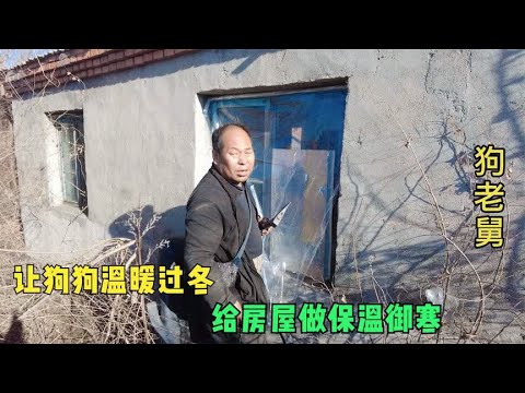 东北冬天到了让狗狗温暖过冬,老舅给房屋做保温御寒,这下暖和了 background