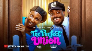THE PERFECT UNION - 123Movies