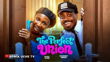 THE PERFECT UNION