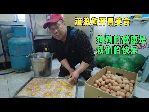 美食可以让流浪狗更快乐,大米鸡蛋碎肉青菜,从心出发健康美味