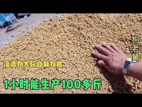 小伙花5000元买的狗粮机,自己生产狗粮,1小时可以做出100斤 background