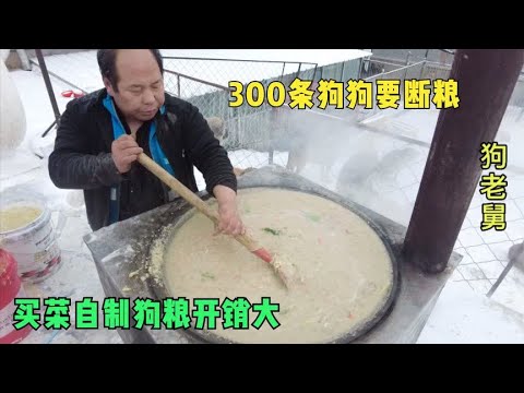 流浪狗基地又快断粮,300多条狗狗开销太大,老舅买菜自制狗粮 background