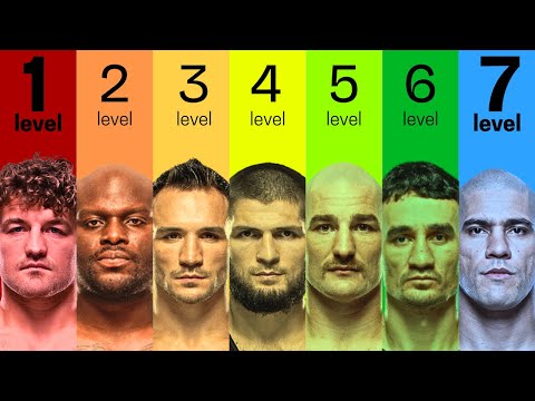 The 7 Levels of MMA Striking background