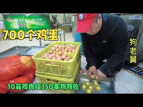 爱心粉丝花3000元,给狗狗改善生活煮700个鸡蛋10箱鸡肉还有青菜
