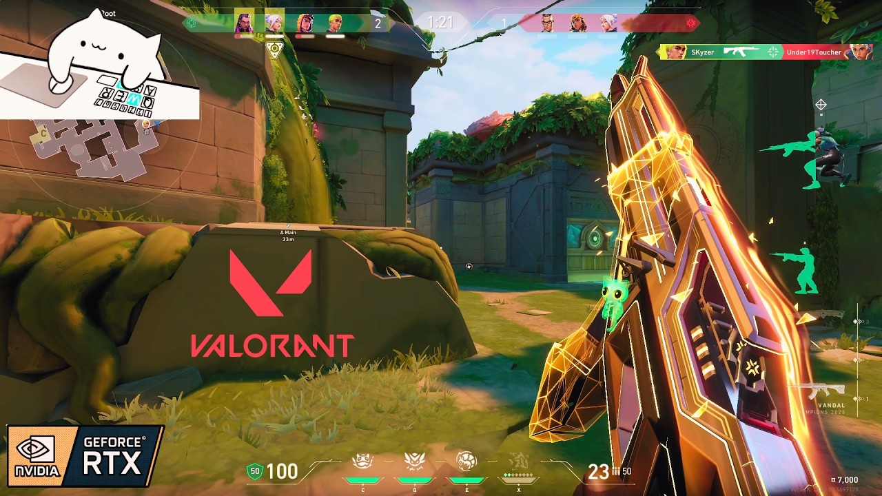 Valorant LIVE - Full PC Gameplay with Bongo Cat - RTX 4060 8GB