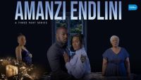 Amanzi Endlini