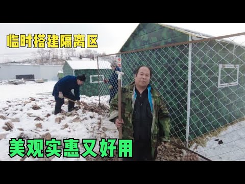 流浪狗生病已全好无处安身,老舅临时搭建隔离区,美观实惠又好用 background