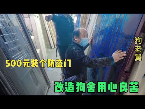 流浪狗基地为了狗狗出行方便,花500元买了一扇防盗门,用心良苦 background