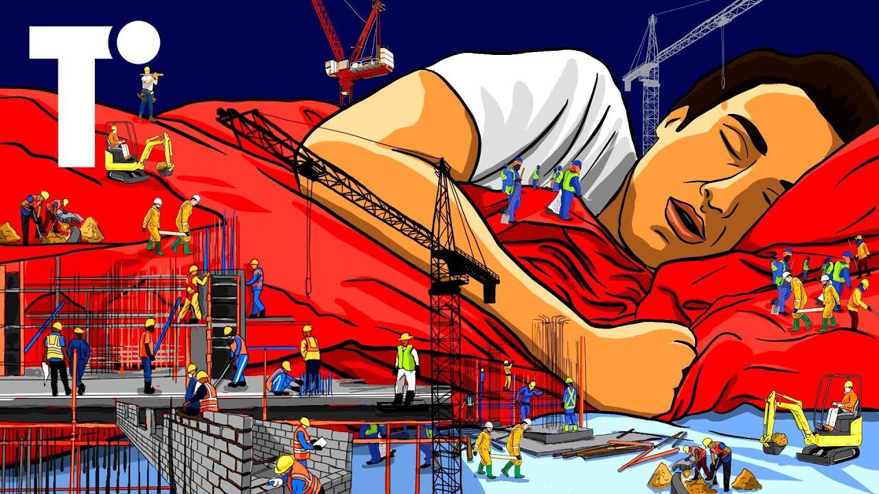 Where will everyone sleep during the Qatar World Cup? background