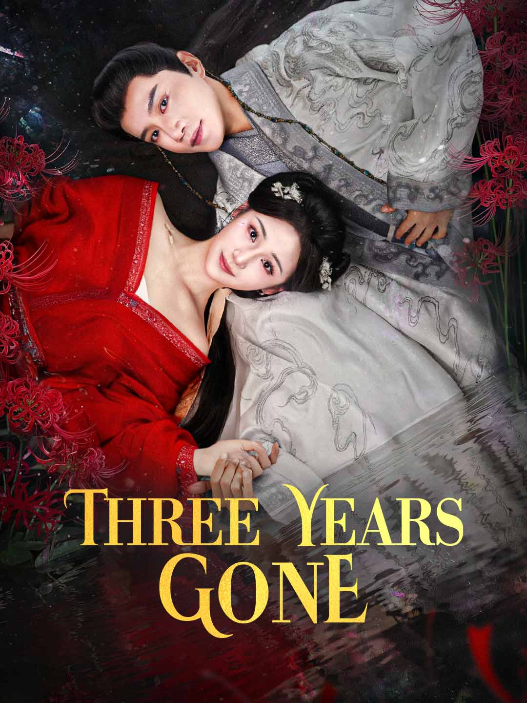 Three Years Gone poster - similar to two sided world