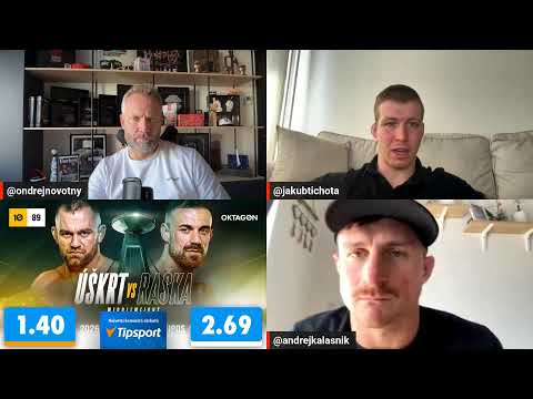 MMA LETEM SVĚTEM #381 background