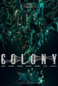 Colony