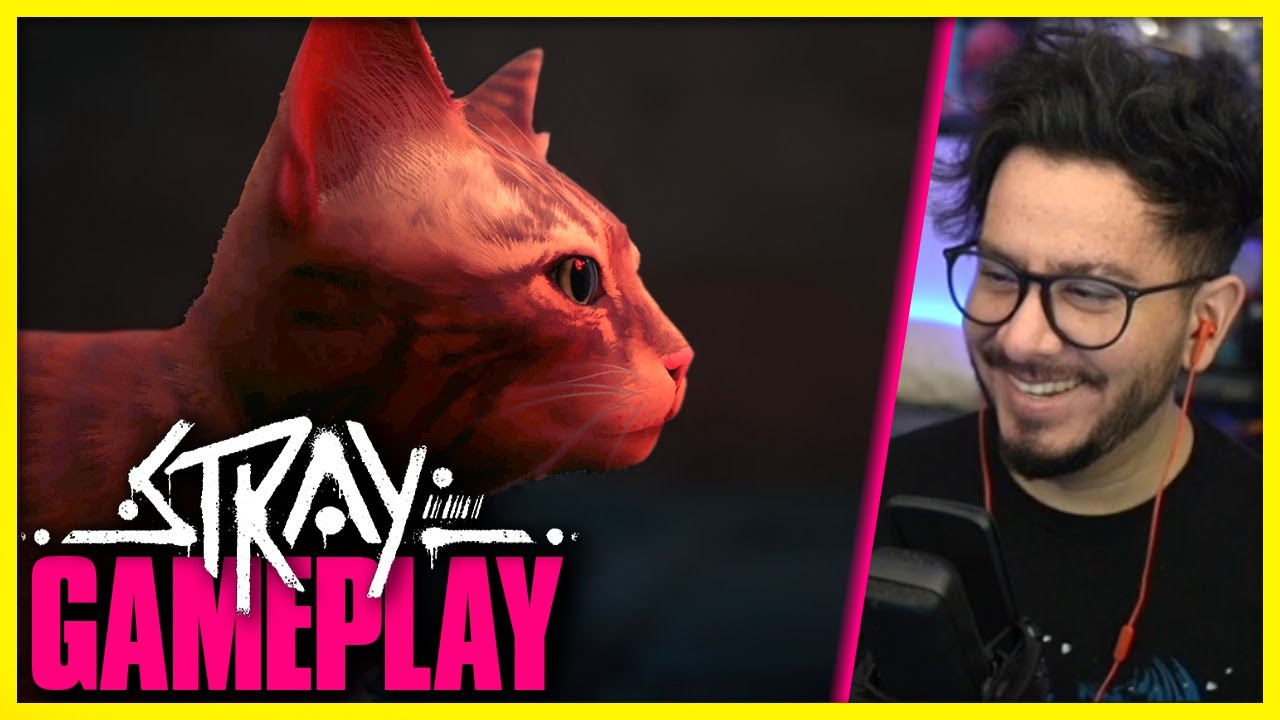 The best cat game ever? STRAY Gameplay ( PS5 ) background