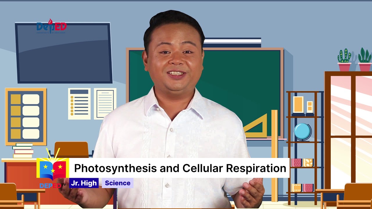 Grade 9 Science Q1 Ep 7 Photosynthesis and Cellular respiration Part1 background