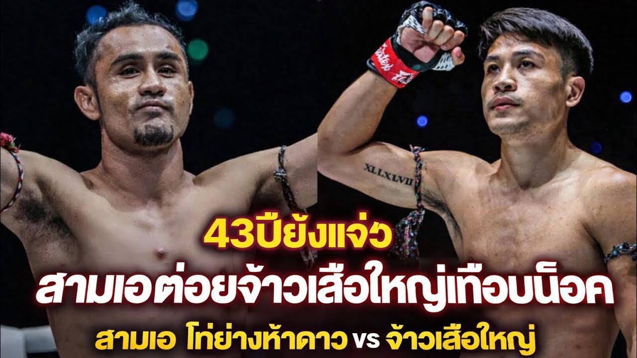 43ปียังแจ๋ว สามเอต่อยจ้าวเสือใหญ่เกือบน็อค สามเอ ไก่ย่างห้าดาว vs จ้าวเสือใหญ่ ส.เดชะพันธ์ backdrop